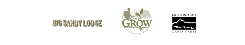 affiliated link images